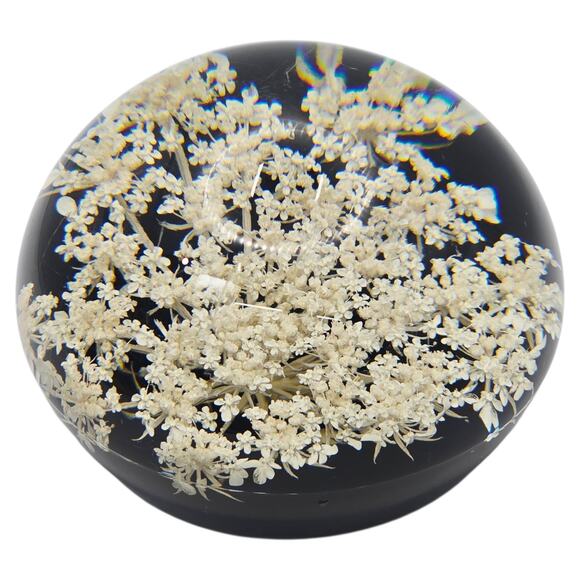 Tarax Infinity Vintage Lucite Acrylic Paperweight Queen Anne’s Lace Canada - Picture 4 of 7